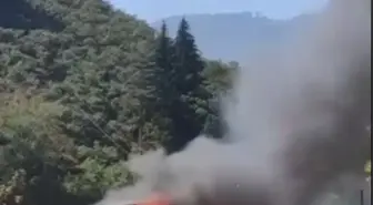 Kuzalan Tabiat Parkı’ndaki Yangın Restoran ve Kafeyi Kül Etti