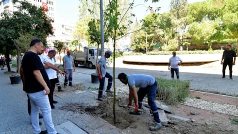 Bornova sokakları sakura ve tarçın kokacak
