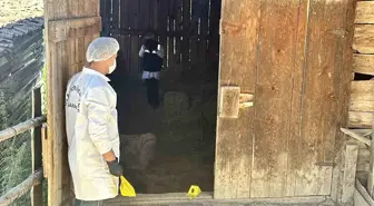 Kastamonu’da Kasten Öldürme Davasında Duruşma Devam Ediyor