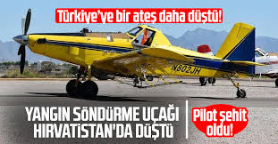 Facia! Yangın Söndürme Uçağı Düştü: Türk Pilot Şehit Oldu